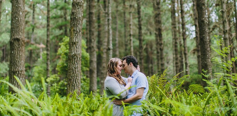 Shimla Honeymoon Volvo Package Shimla Honeymoon Volvo Package